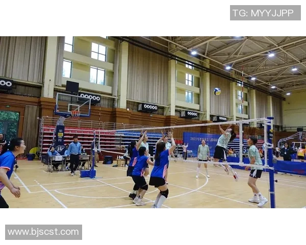 杭州排球队总决赛精彩回顾团队协作展现无遗